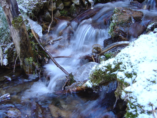 Brook